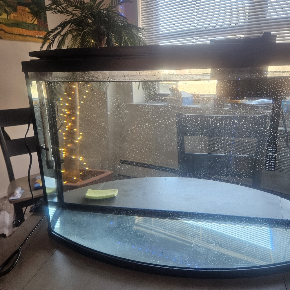 Fish tank